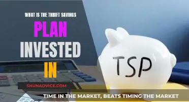 The TSP: Where Your Money Is Invested