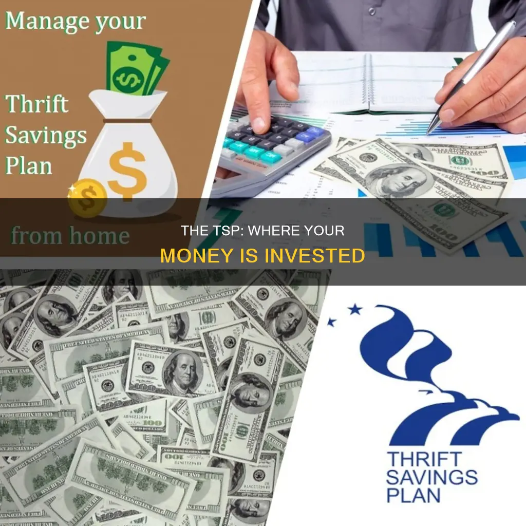 what is the thrift savings plan invested in