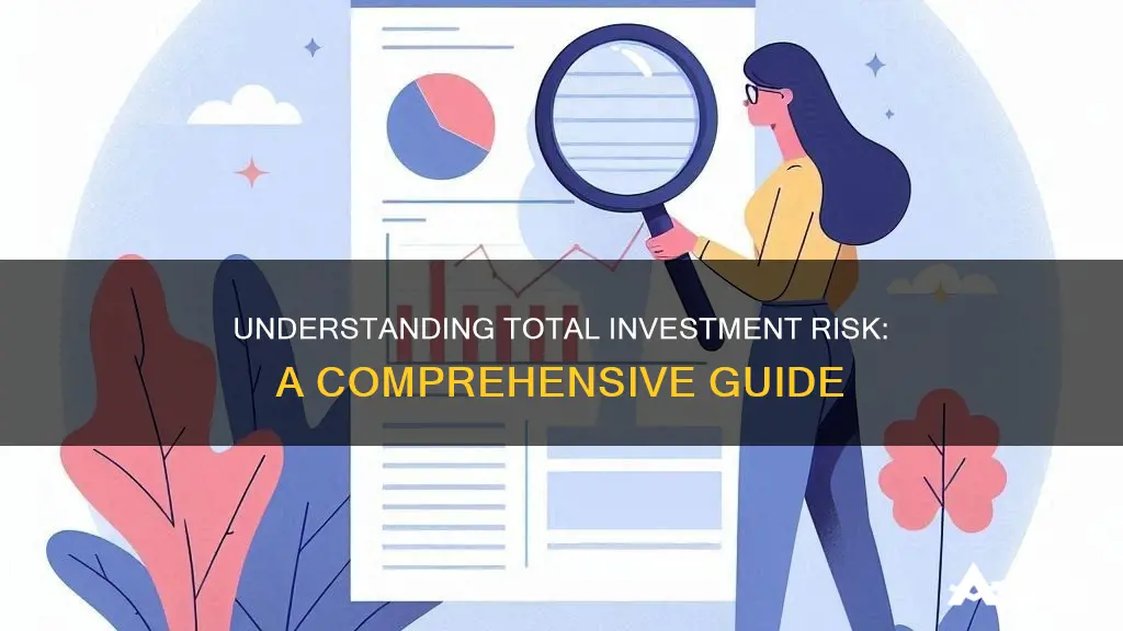 what is the total risk of an investment