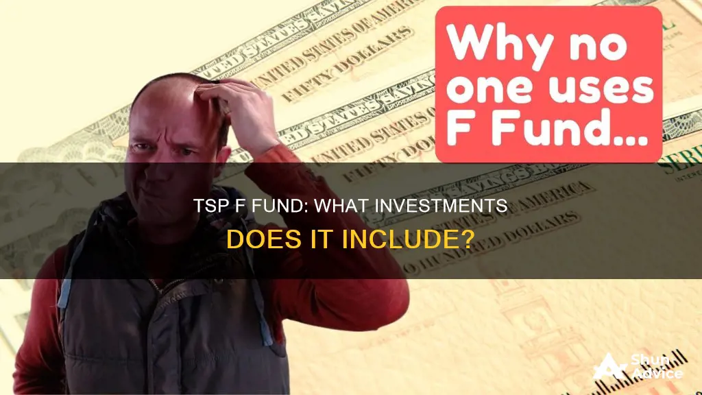 what is the tsp f fund invested in