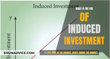 Induced Investment: How Does It Help Businesses?