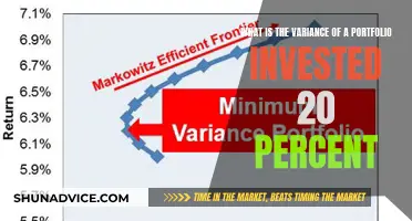 Portfolio Variance: Impact of 20% Investment Strategy