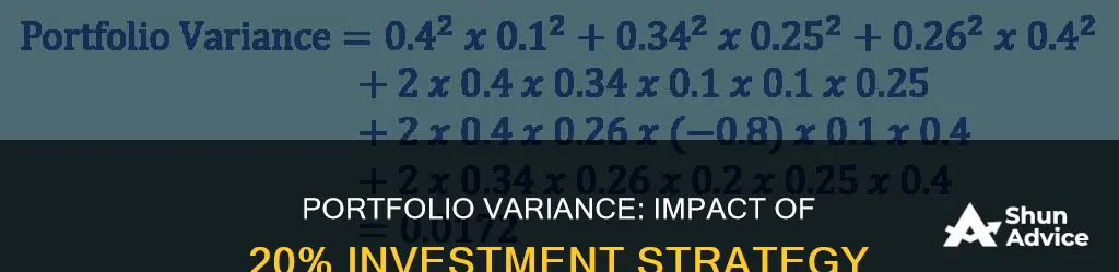 what is the variance of a portfolio invested 20 percent