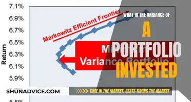 Understanding Portfolio Risk: Variance in Investments