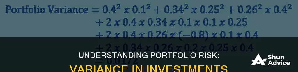 what is the variance of a portfolio invested