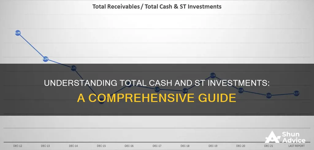 what is total cash and st investment