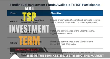 Understanding TSP: The Ultimate Investment Term