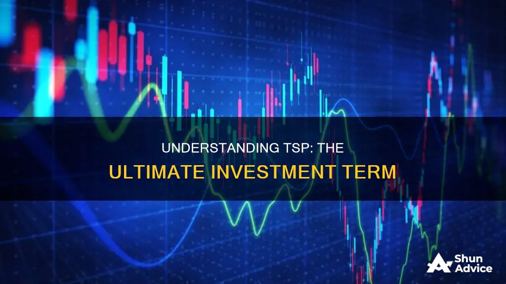 what is tsp investment term