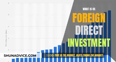 Unraveling the US Foreign Direct Investment: A Comprehensive Guide