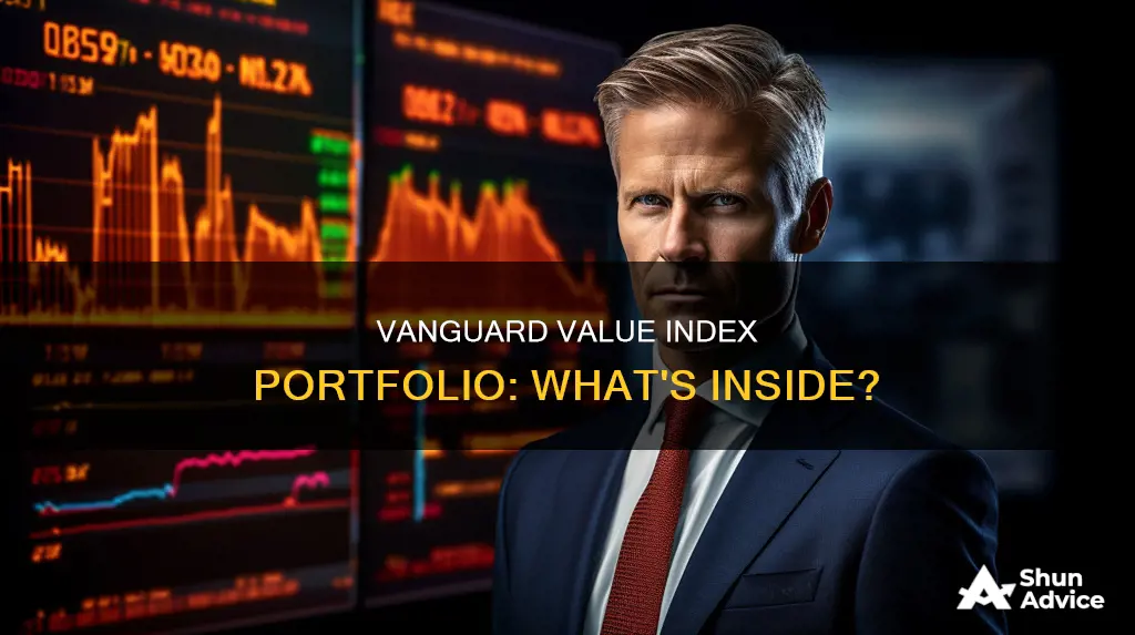 what is vangaurd value index portfolio invested in