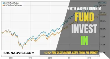 Vanguard Retirement Fund: Where Does Your Money Go?