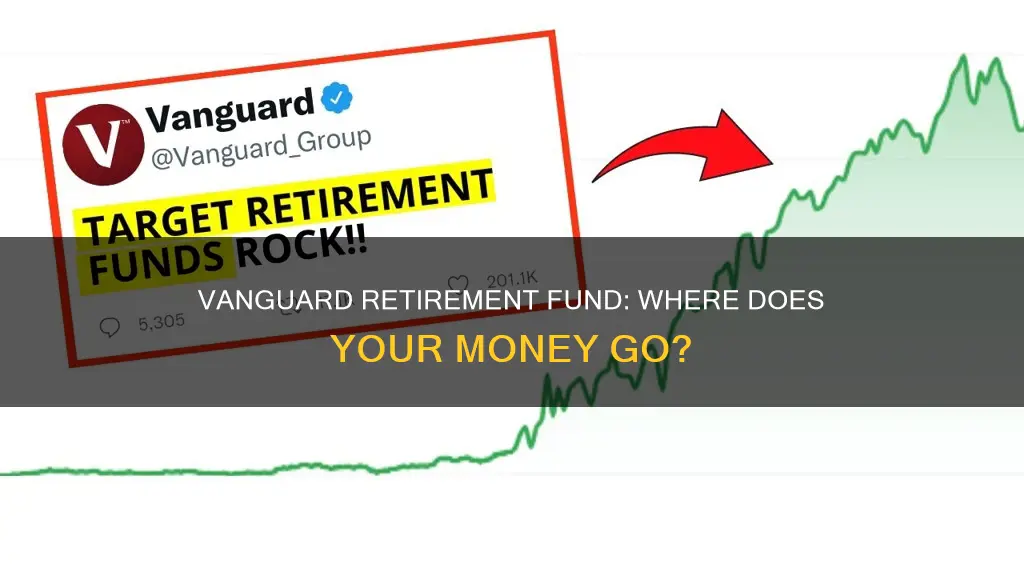 what is vanguard retirement fund invest in