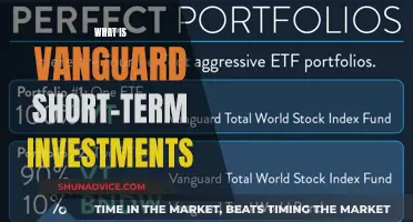 Uncover Vanguard Short-Term Investments: A Guide to Quick Capital Growth