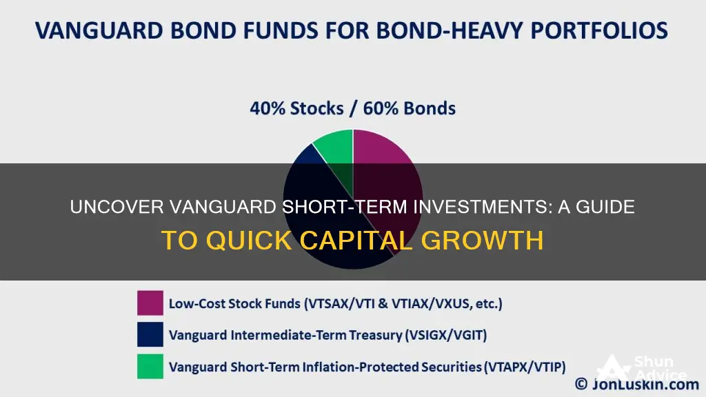 what is vanguard short-term investments