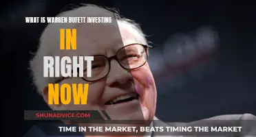 Warren Buffett's Current Investment Strategy