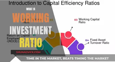 Understanding the Working Investment Ratio: A Guide to Financial Success