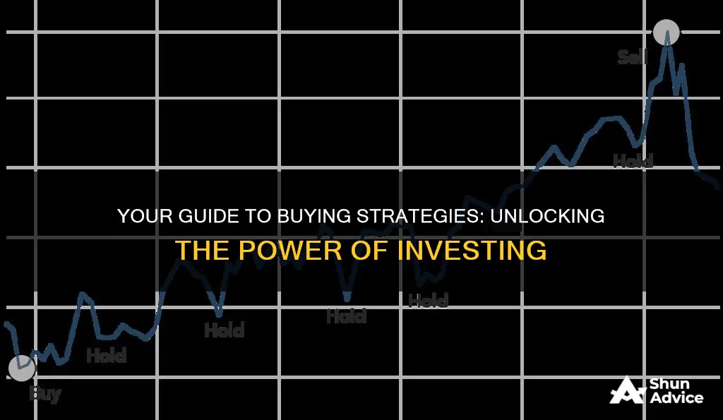 what is your buying strategy investing reddig