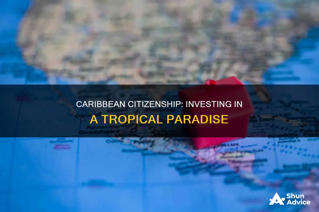 what island will grant dual citizenship if you invest