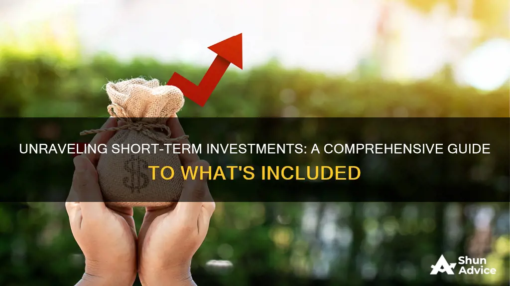 what ius included in short term investments