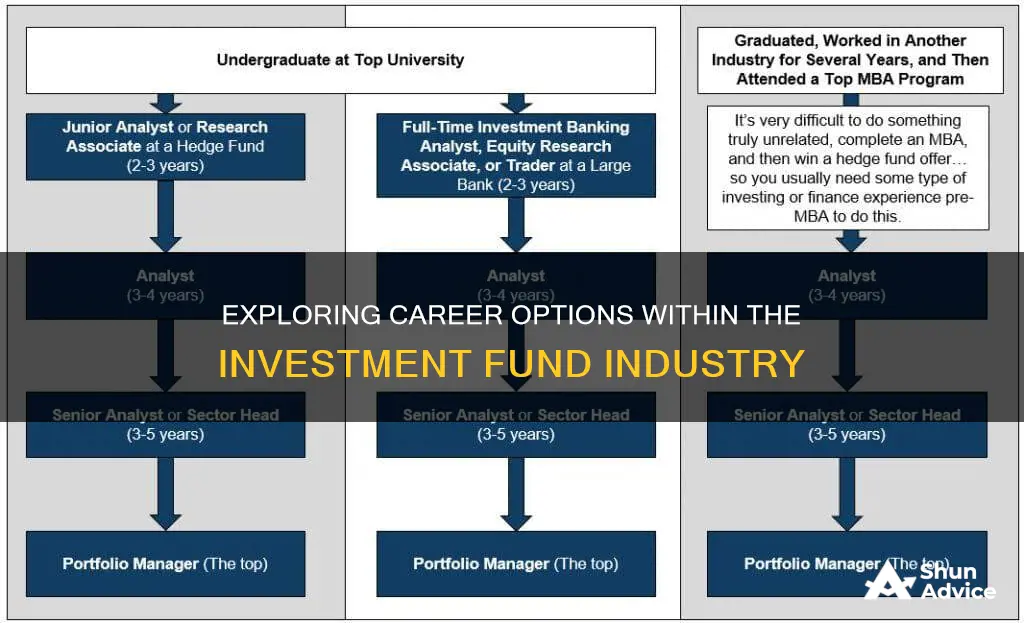 what jobs are there in investment fund