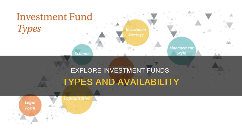 what kind of investment funds are available