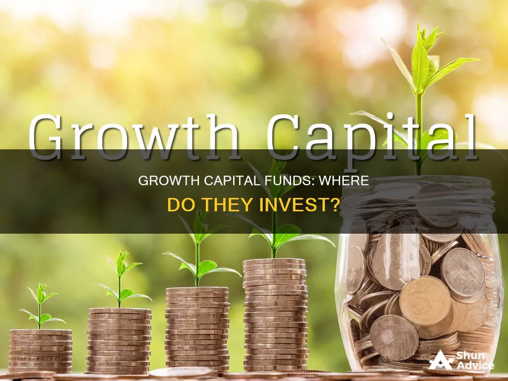 what kind of investments do growth capital funds usually make