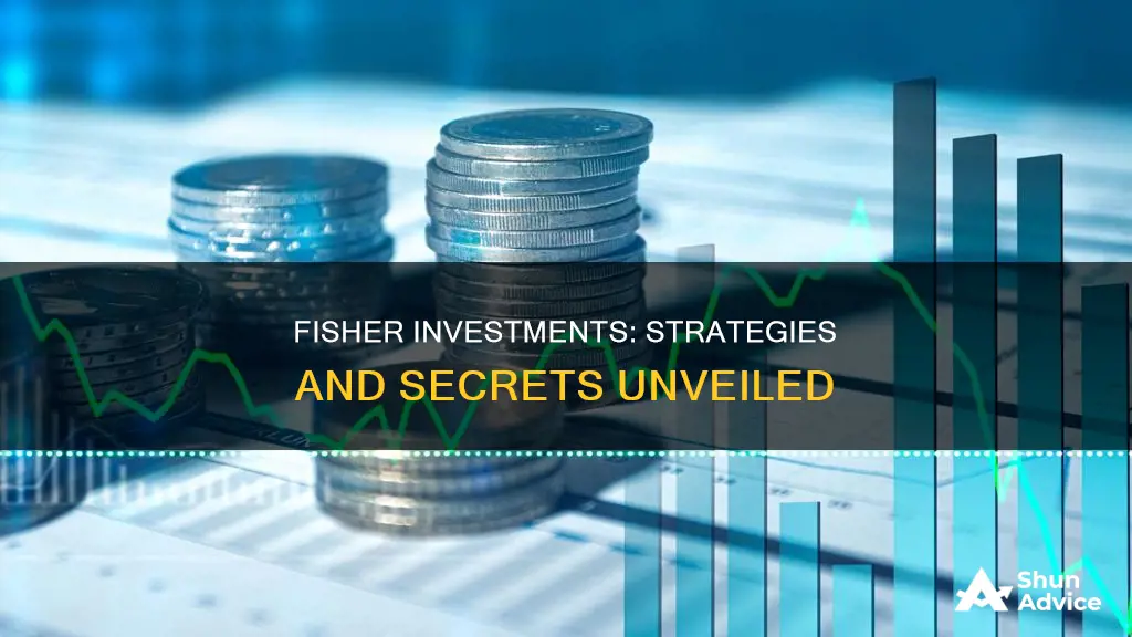 what kind of investments does fisher investments make