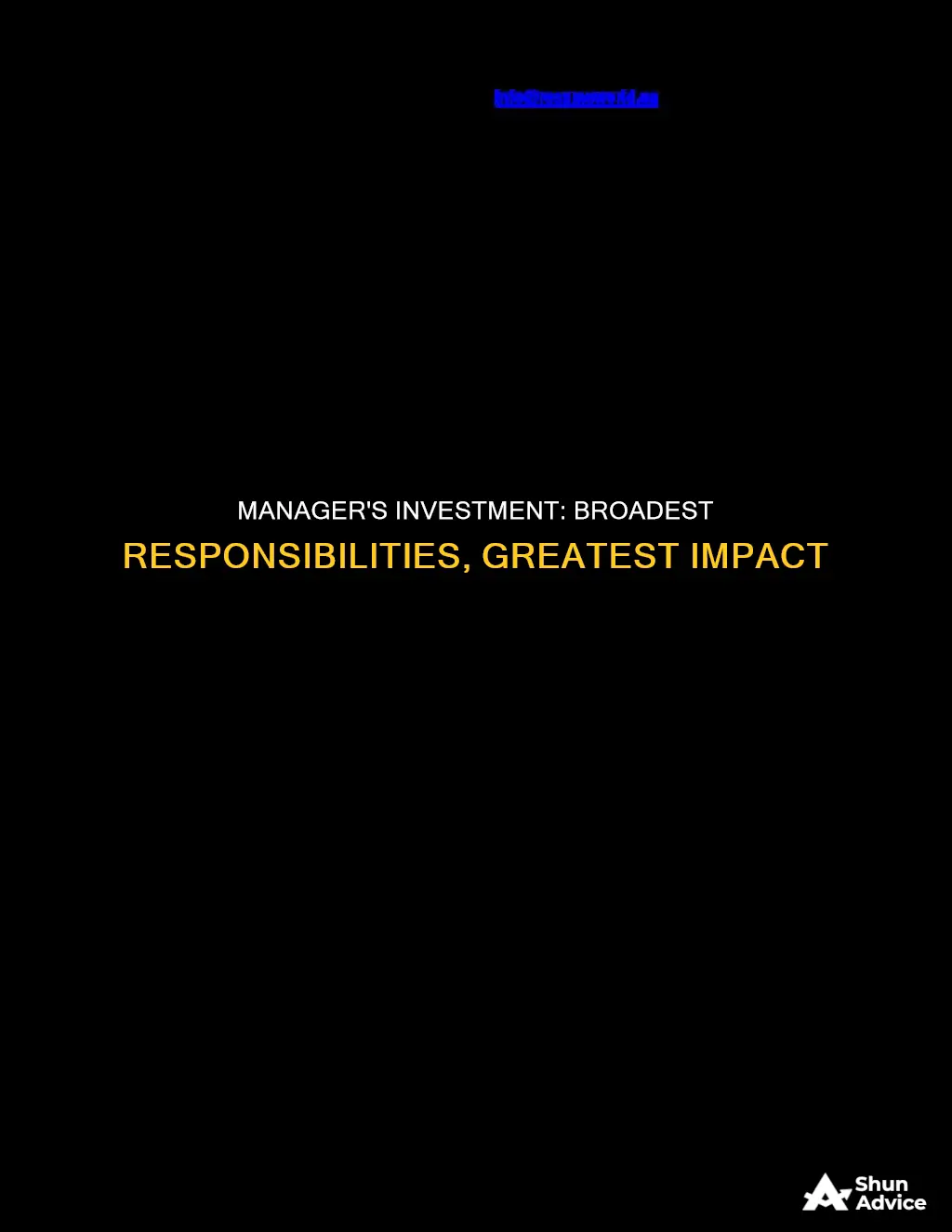 what kind of manager has the broadest responsibility investment