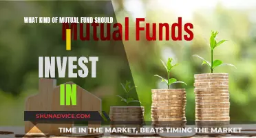 Mutual Fund Investment: Choosing the Right Type