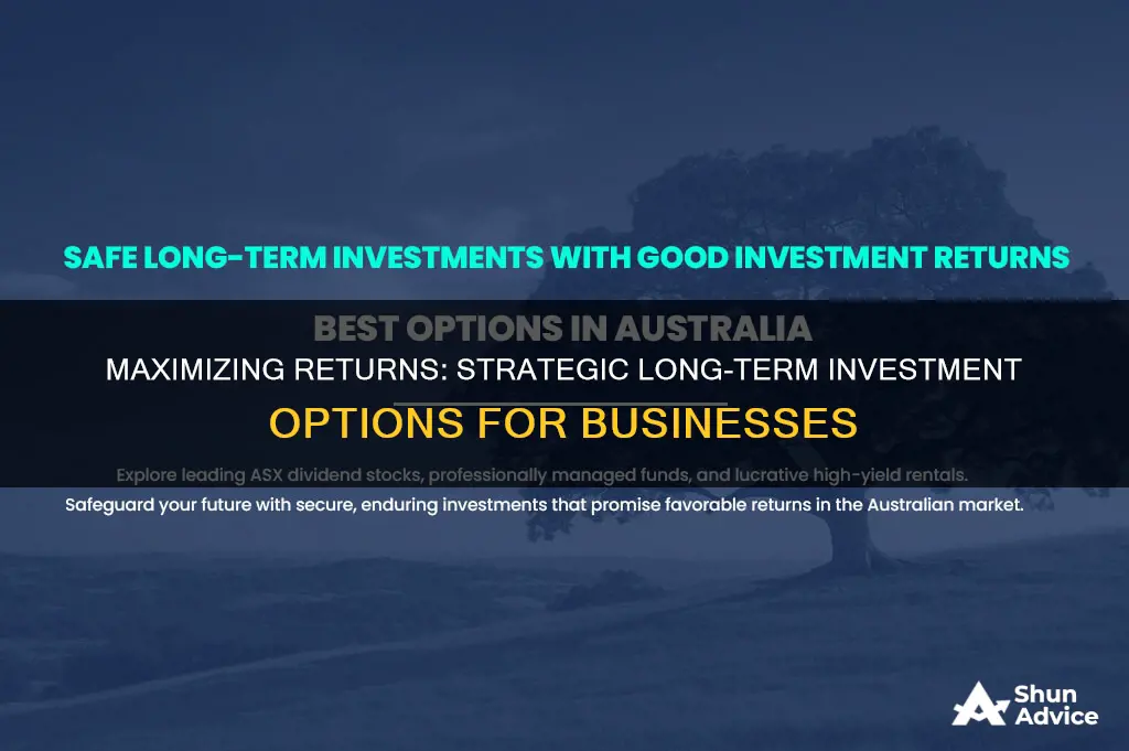 what long term investment should the firm take on