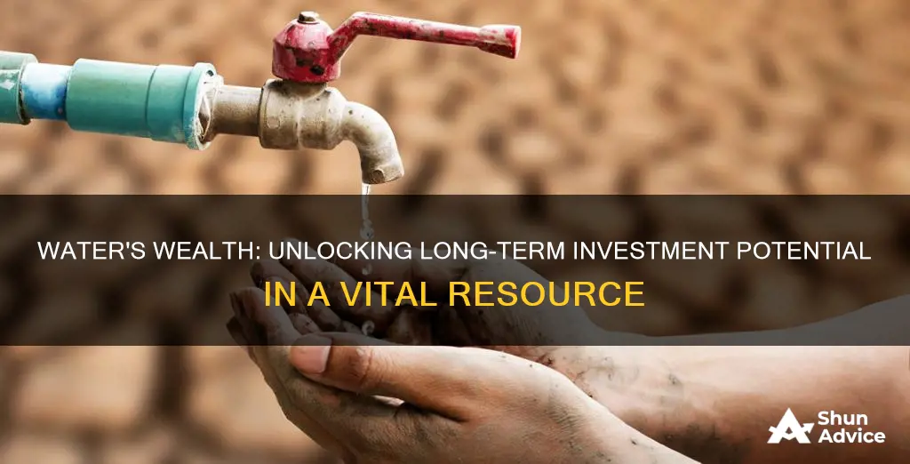 what long term investments does drinking water have