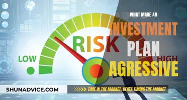 Aggressive Investment Plans: High-Risk, High-Reward Strategies