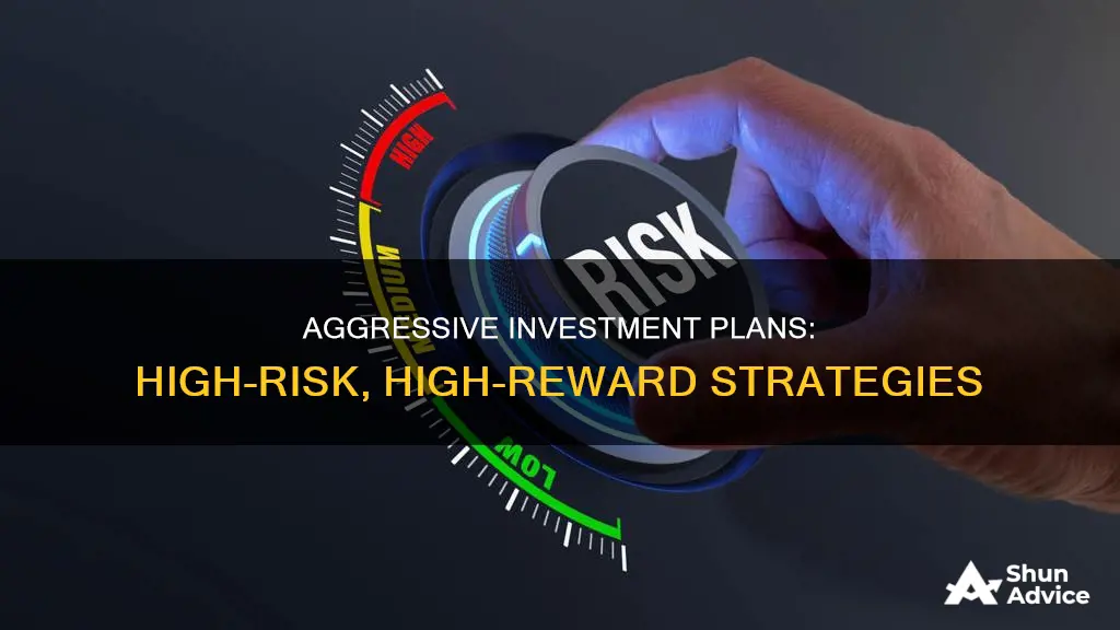 what make an investment plan agressive