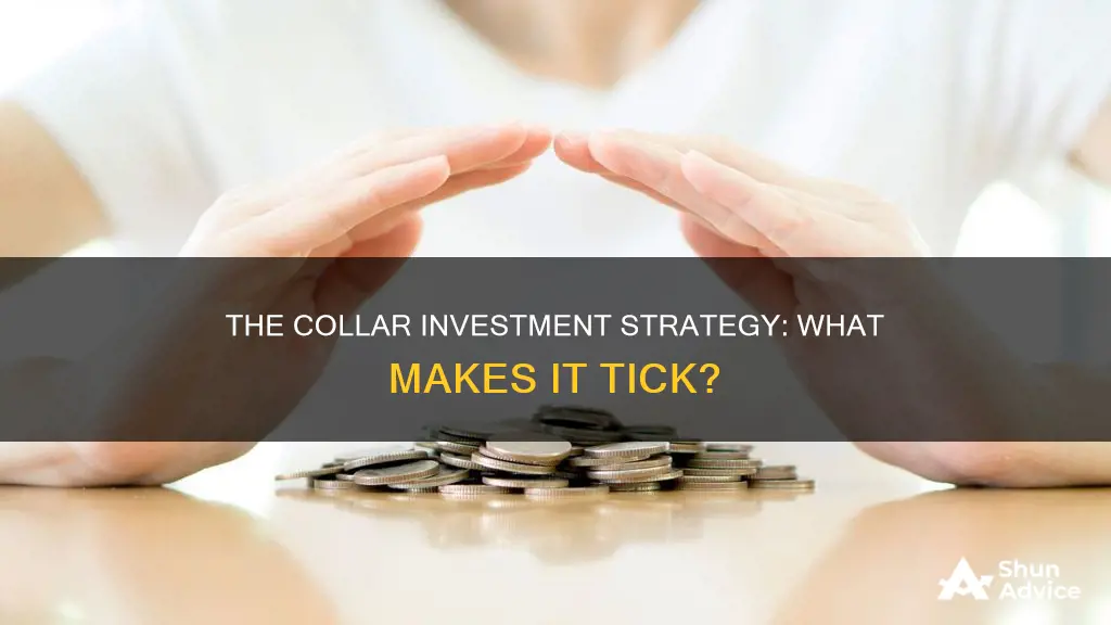 what makes a collar investments