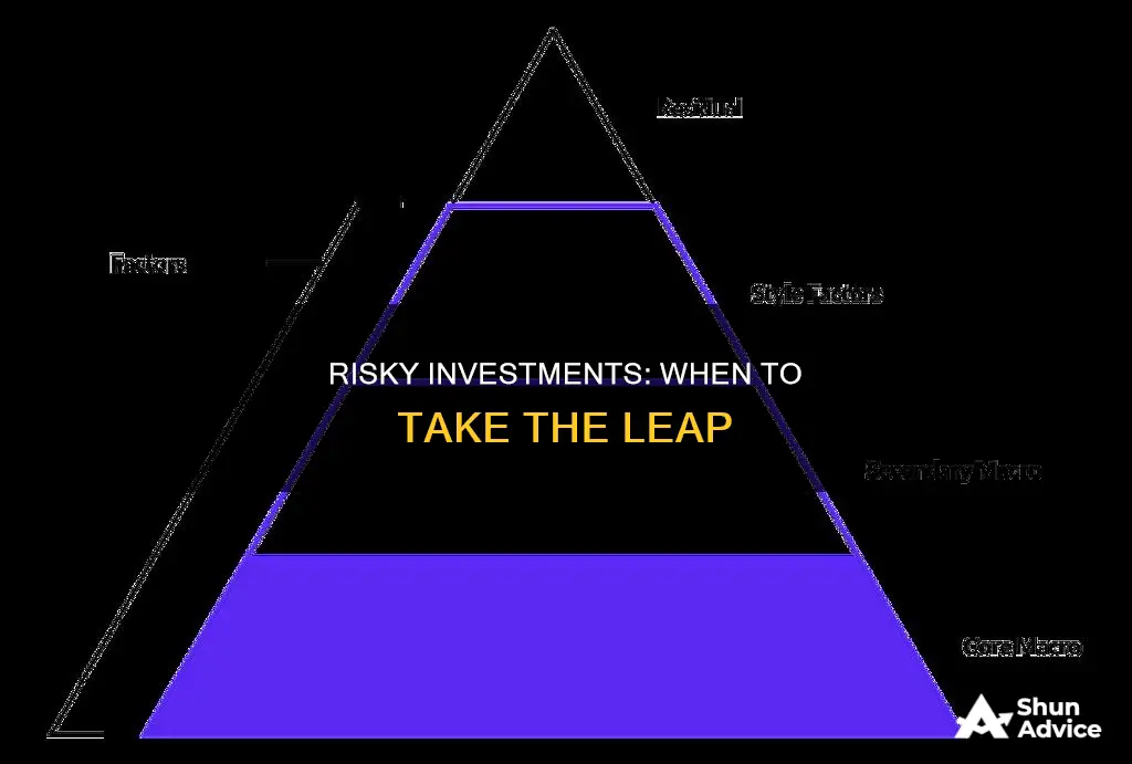 what makes a risky investment