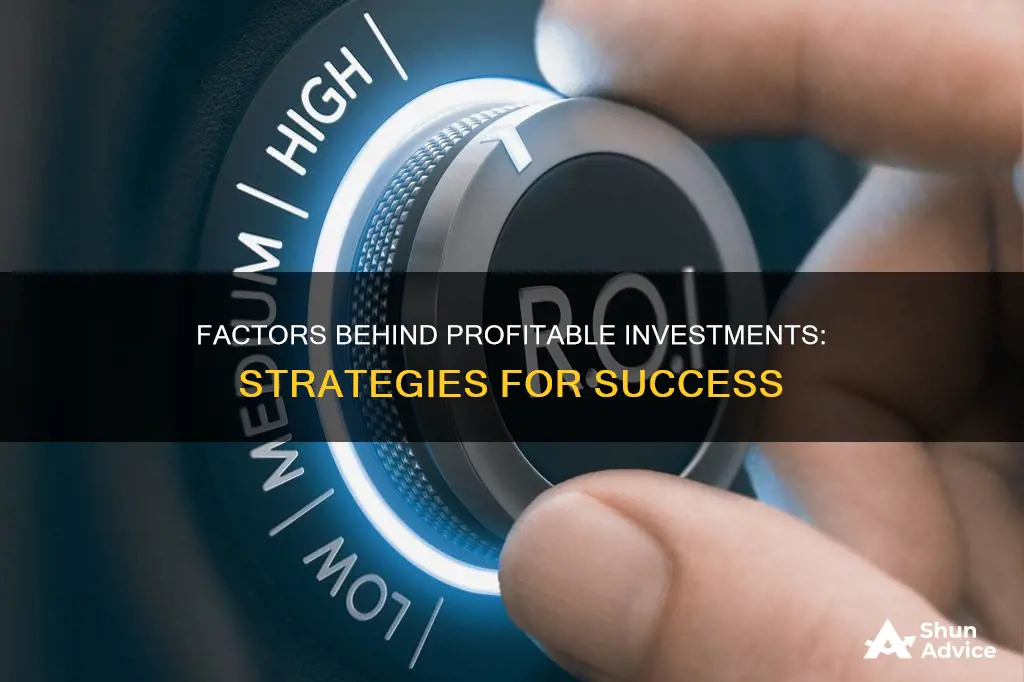 what makes an investment profitable