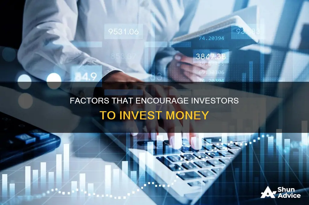 what makes an investor invest