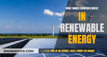 Why Nations Embrace Renewable Energy Sources