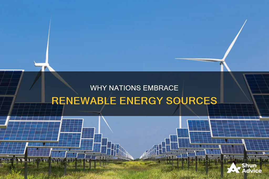 what makes countries invest in renewable energy