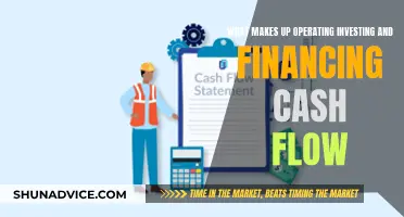 Understanding Cash Flow: Operating, Investing, and Financing Basics