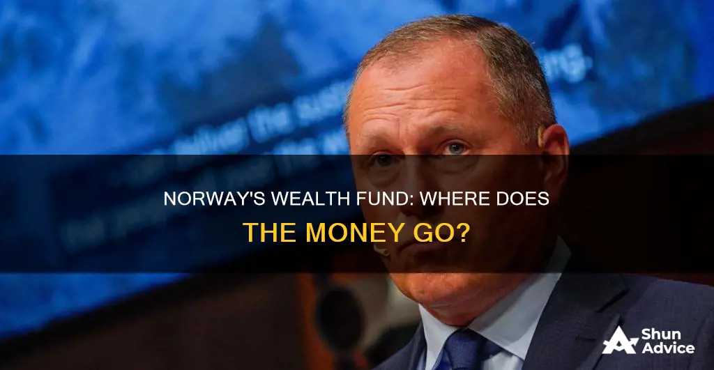 what money does norway invest in wealth fund