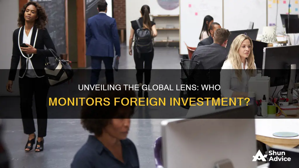 what monitors foreign investment