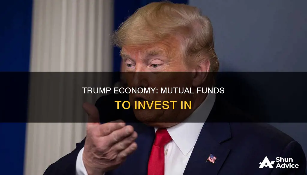 what mutual funds do I invest in a trump economy