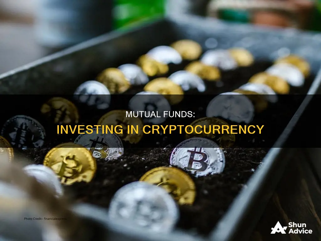 what mutual funds invest in cryptocurrency