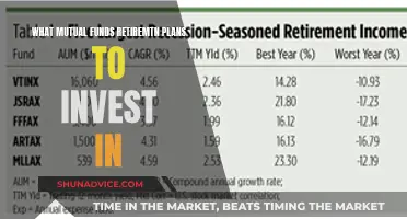 Retirement Mutual Funds: Best Investment Options