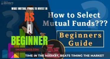 Beginner's Guide to Choosing Mutual Funds for First-Time Investors