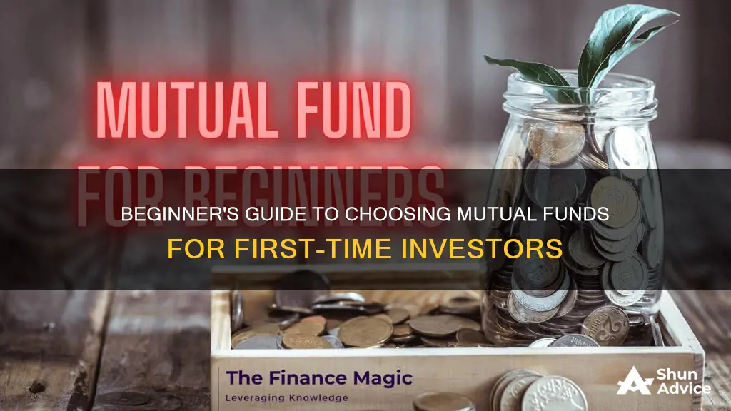 what mutual funds to invest in as a beginner