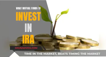 IRA Mutual Fund Investment: Choosing the Right Funds