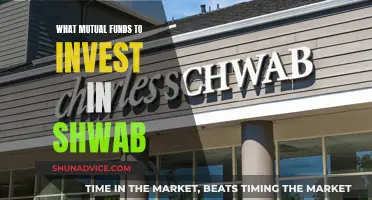 Schwab's Mutual Fund Options: Best Picks for Investors