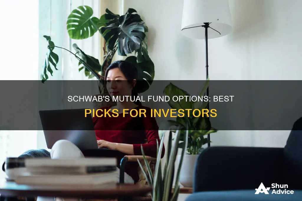 what mutual funds to invest in shwab